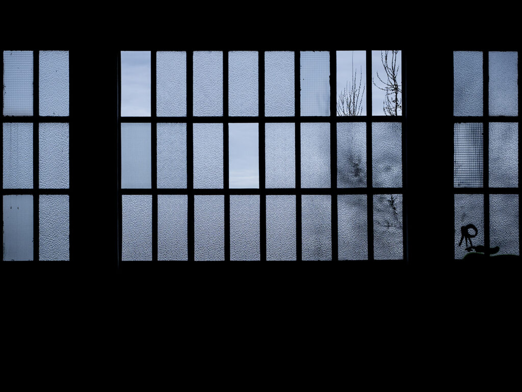DMAP_A_029 web