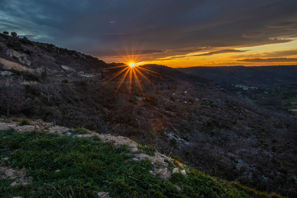 _MG_3318_2